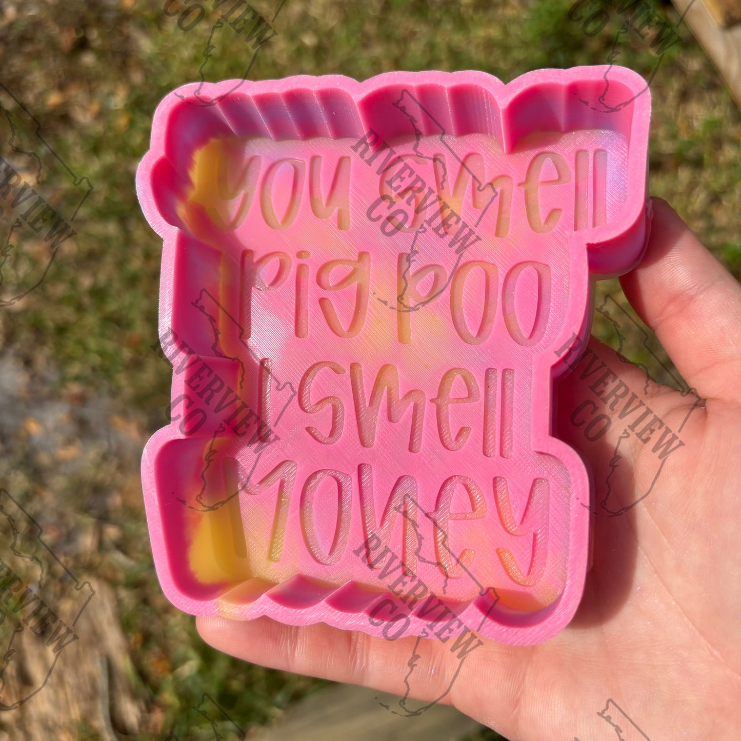 You smell pig poo I smell money car freshie mold