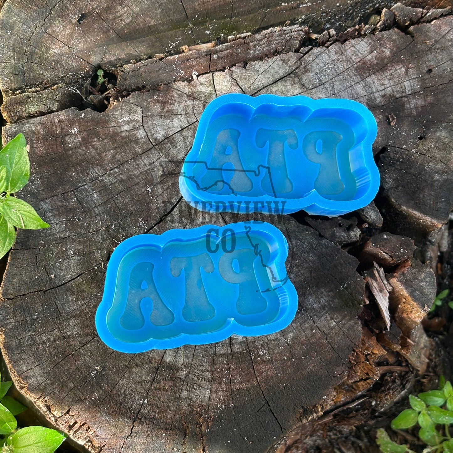 PTA vent clip set car freshie molds