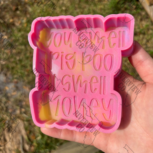 You smell pig poo I smell money car freshie mold