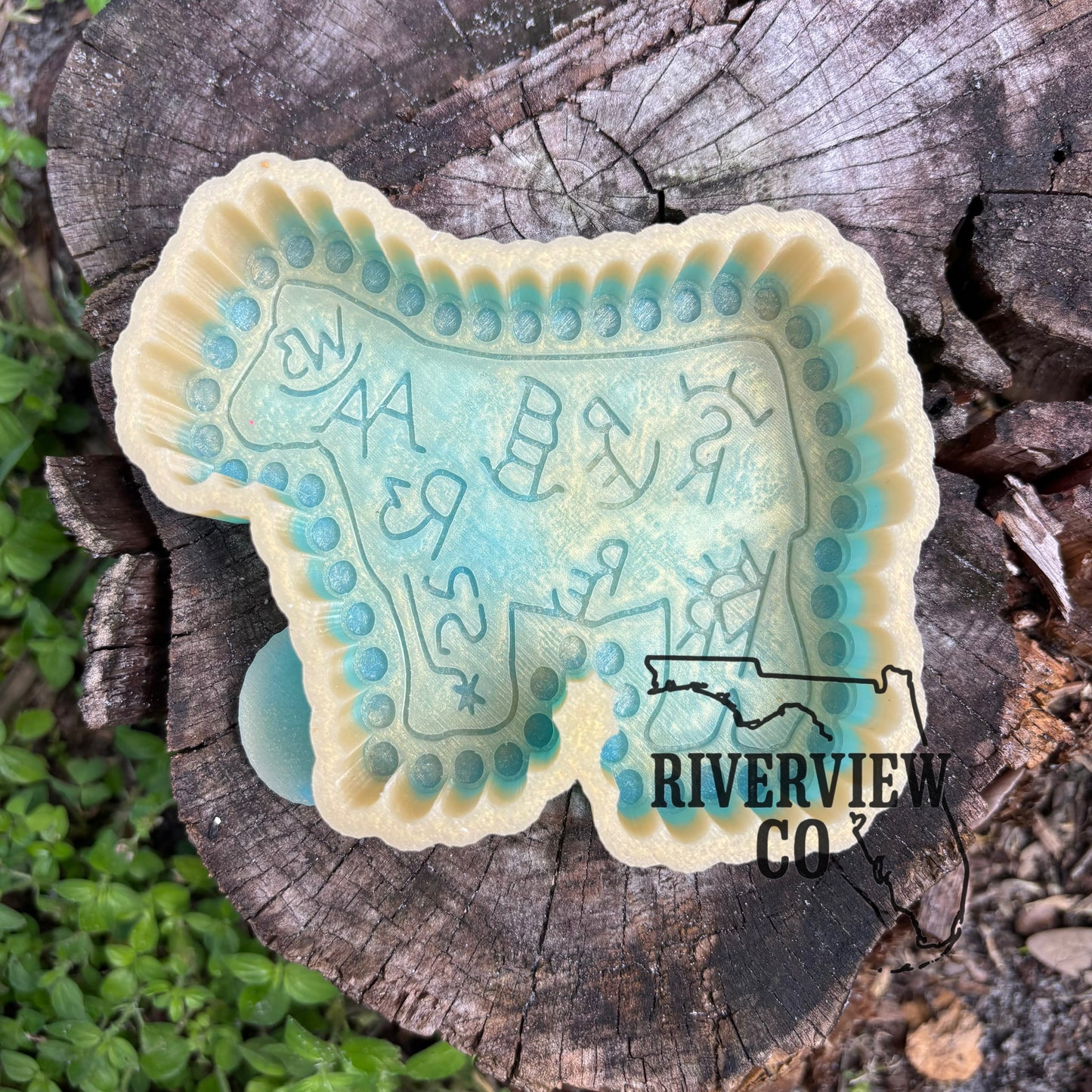 Branded show steer car freshie mold