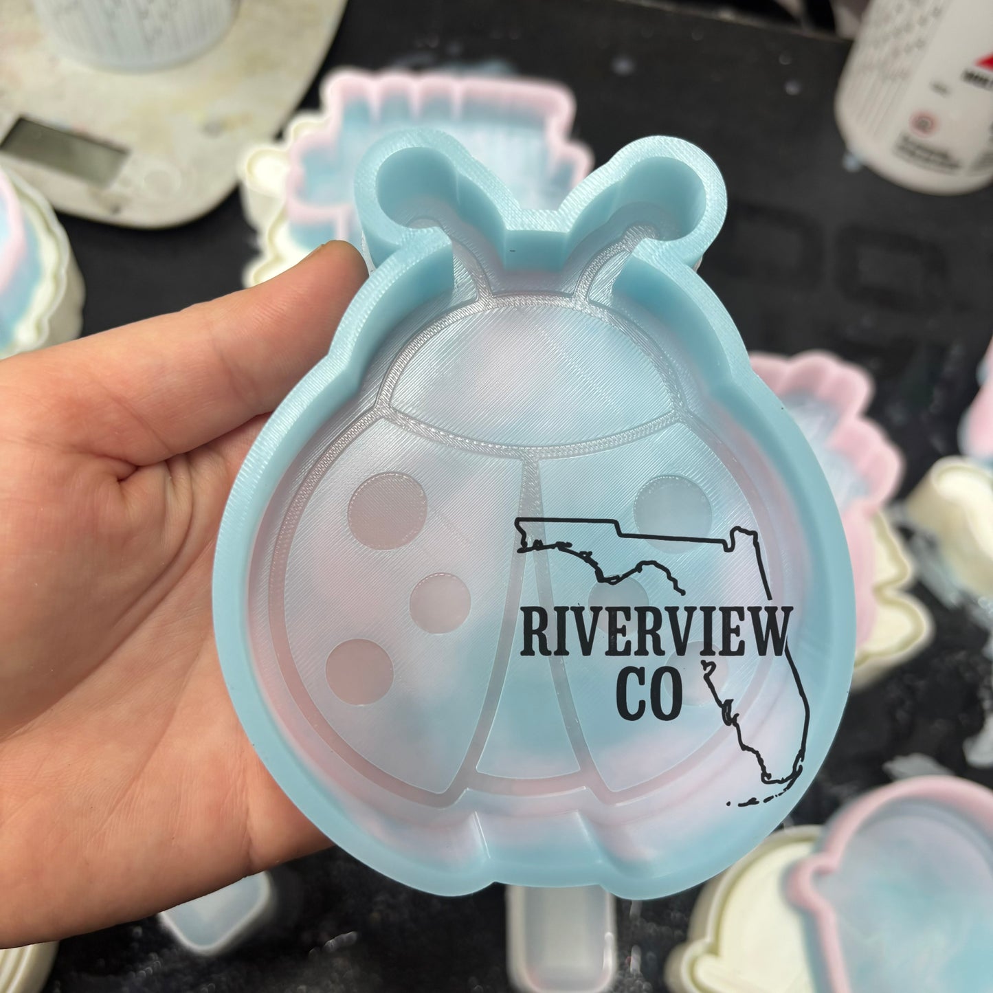 Lady bug car freshie mold