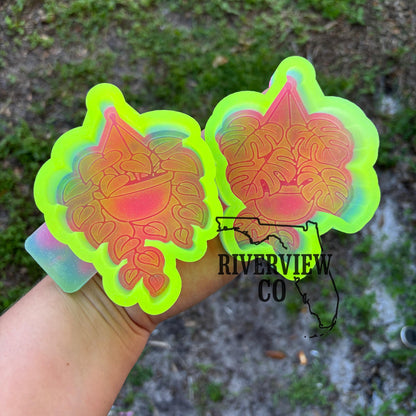 Pothos hanging house plant car freshie mold